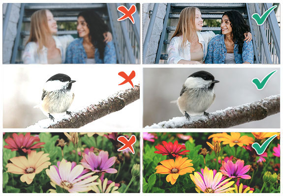 De juiste foto’s kiezen